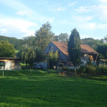 Bnb Pavillon Paisible Orsonnens Zewnętrze zdjęcie